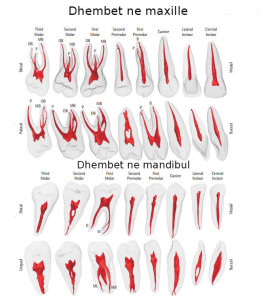 Grossman_13_MarcoVersiani3