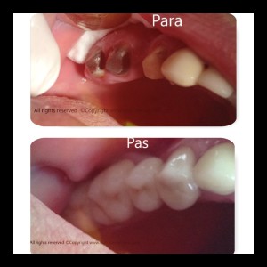 PhototasticCollage-2015-09-17-13-46-22